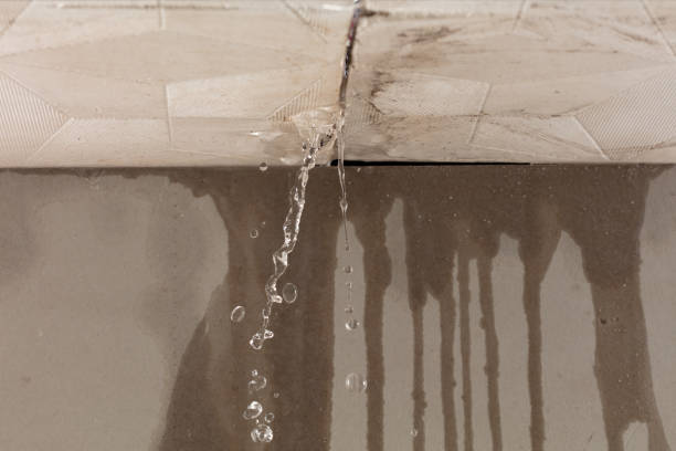 Professional Water Damage Restoration technician working in Ecleto, TX